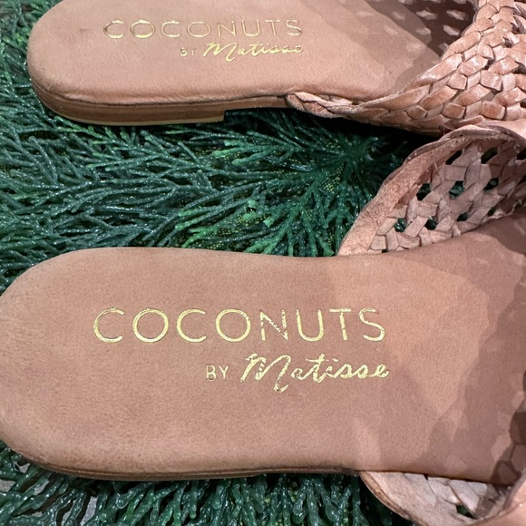 COCONUTS by Matisse - Picture 7 of 8